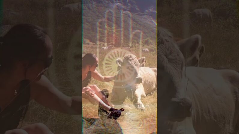 The Principle of Ahimsa 4 The Principle of Ahimsa